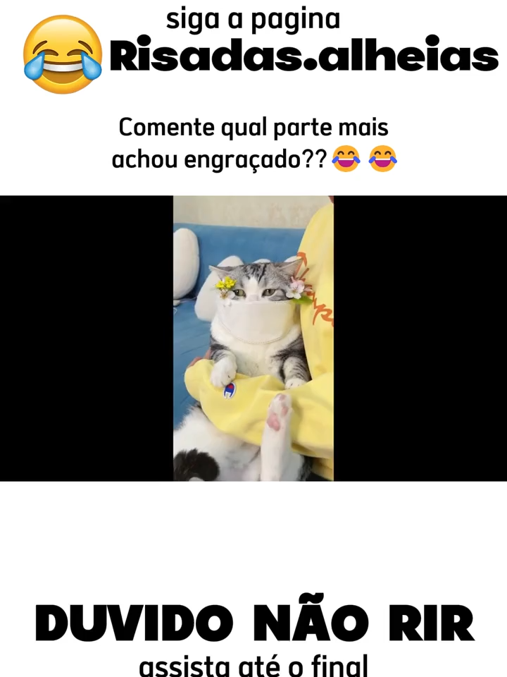 #fyp #Cãe #animaisengraçados