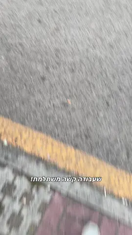 לא לוותר #ליטאלפסי 