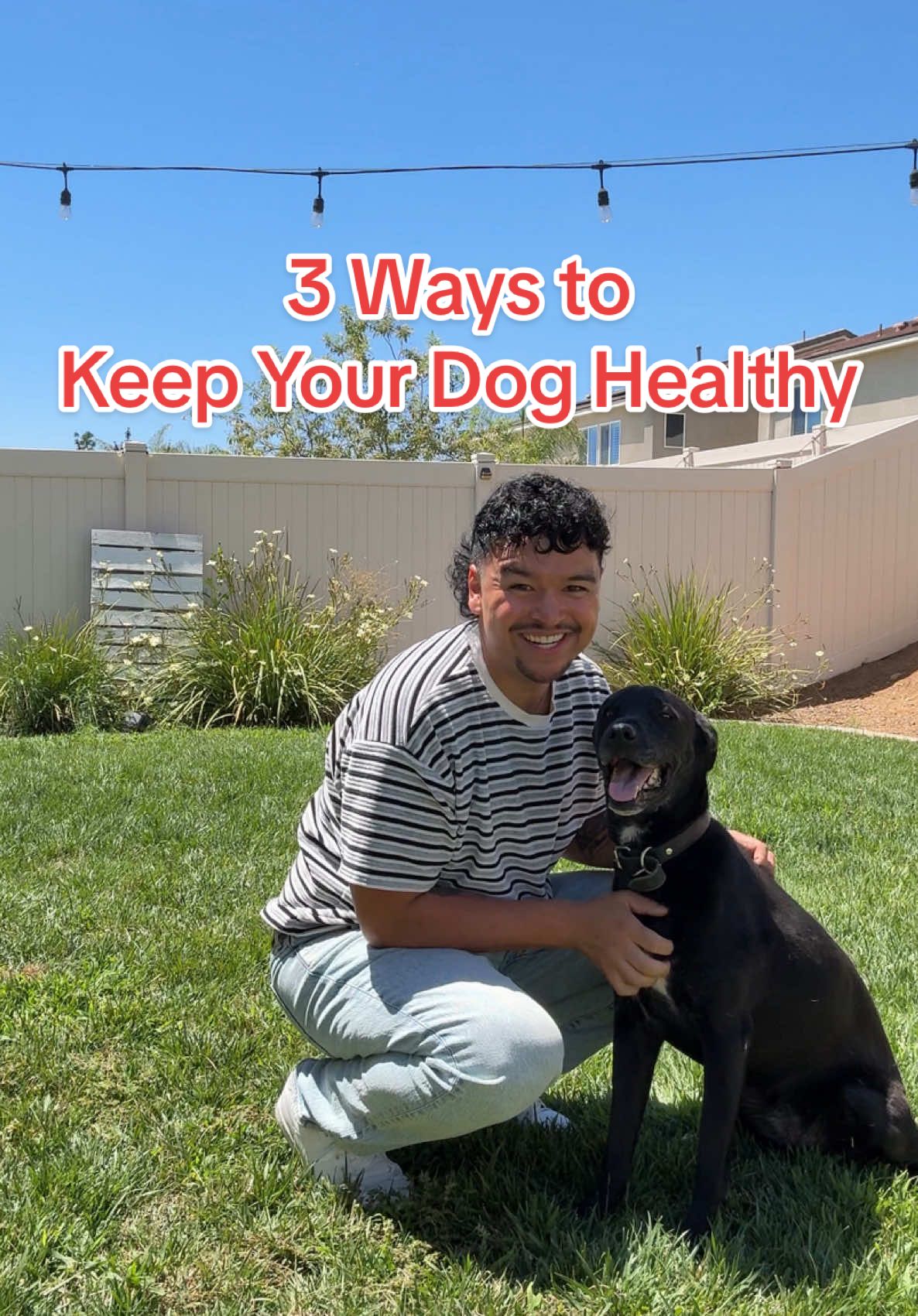 A long, happy life starts with the right daily habits 🐾 1️⃣ Feed a clean, whole foods diet 🥩 2️⃣ Get those daily walks in ☀️ 3️⃣ Keep their brain busy with enrichment toys 🧠🦴 What’s a healthy habit you practice with your pets? Tell us below! ⬇️ #petsmart #anythingforpets #healthyhabits #doghealth #pethealth #dogparents @alantimoteov 