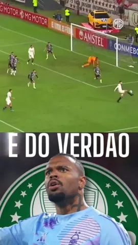 Notícias do verdão #noticiasdoverdao #manchaverde #sepalmeiras 