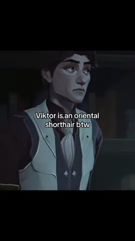 Any time I see an oriental shorthair cat, I think of Viktor. I ACTUALLY CAN’T UNSEE IT. It’s so bad that I turned my own mother from hating oriental shorthairs to not only loving them but also calling them “the Viktor cats”. My work here is done. #arcane #orientalshorthair #viktorarcane #cat #trending 
