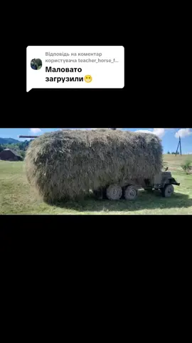 Відповідь користувачу @teacher_horse_ferm 