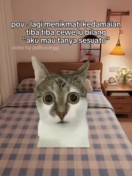 pnik attck👹 #memekucing #catmeme #memecat #memeindonesia #povindonesia #ceritapendek #fypage #4u #viralvideos #xyzbca 