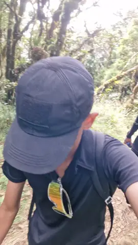cerita lompobattang