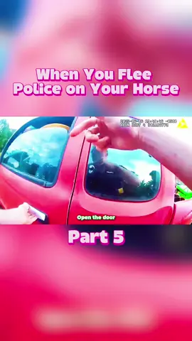When You Flee Police on Your Horse part5
