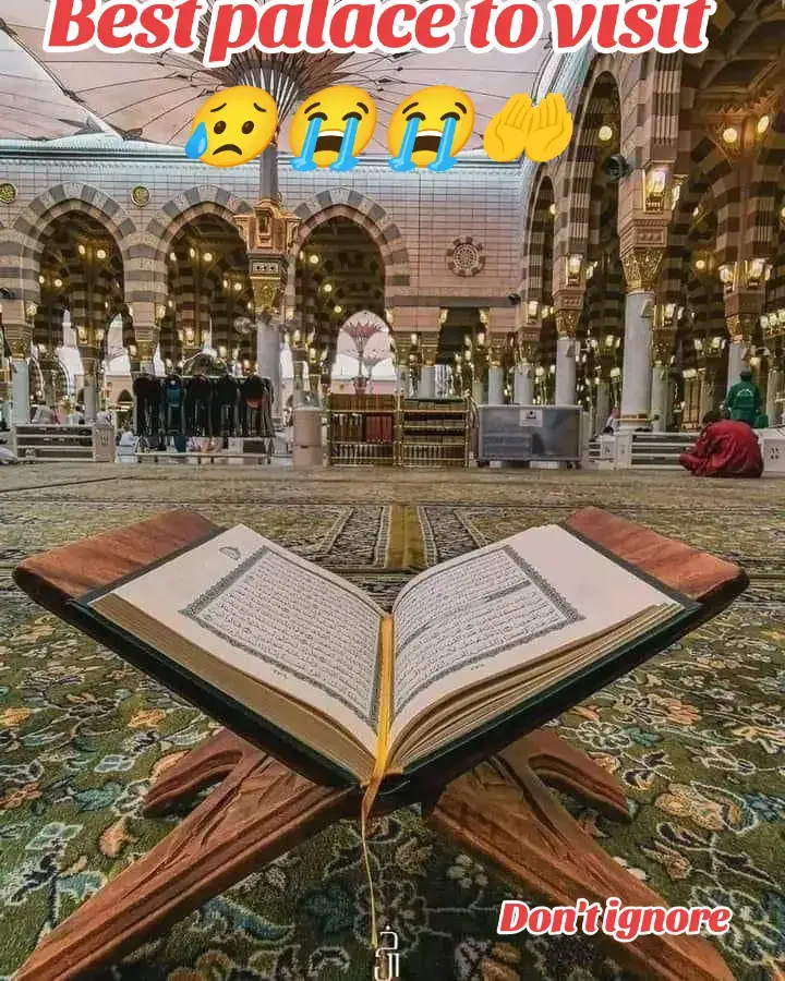 মদিনা, যা আল-মাদিনাহ আল-মুনাওয়ারাহ নামেও পরিচিত, সৌদি আরবের একটি শান্তিপূর্ণ এবং আধ্যাত্মিকভাবে গুরুত্বপূর্ণ শহর, যা তার গভীর ইসলামী ঐতিহ্য এবং ঐতিহাসিক গুরুত্বের জন্য লক্ষ লক্ষ মানুষের কাছে প্রিয়। এটি পবিত্র নবীর মসজিদ (মসজিদে নববী)-এর আবাসস্থল হিসেবে বিশ্বজুড়ে দর্শনার্থীদের আকর্ষণ করে, যারা এখানে এসে এর প্রশান্ত পরিবেশ উপভোগ করেন, পবিত্র নিদর্শনসমূহ ঘুরে দেখেন এবং শতাব্দীব্যাপী ইসলামী ইতিহাসের সাথে সংযোগ স্থাপন করেন। সাংস্কৃতিক ও আধ্যাত্মিক পর্যটনের জন্য আদর্শ এই শহরটি ঐতিহ্য, আতিথেয়তা এবং প্রশান্তির এক অনন্য মিশ্রণ উপহার দেয়, যা প্রতিটি ভ্রমণকারীর মনে স্থায়ী ছাপ ফেলে।