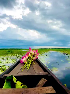 আসবা নাকি আমাদের পদ্ম বিলে..?🪷🪷🪷  #Terokhada #fyp #foryou @TOHAN  09 @—͞𝗙Ꭷ𝗬𝙎ꫝ𝗟 —͞𝐁𝐁𝘇 👀  #fypppp #capcut 