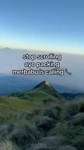 panggilan yang satu ini ngga boleh dilewatkaaaan 🤙🏻🤙🏻🤙🏻 #merbabu3142mdpl #merbabumountain #merbabuviasuwanting #pendakigunung #pendakifomo 