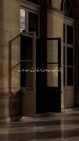 🥹🫀#foryou #fypp #aestheticvideos #poetry #momin_aestheticz 