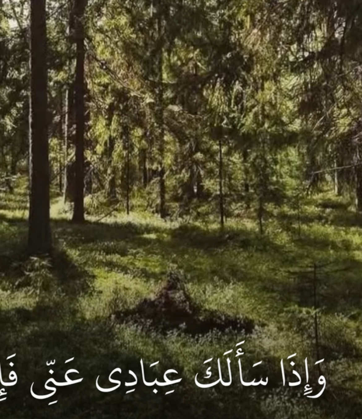 فَلۡيَسۡتَجِيبُواْ لِي وَلۡيُؤۡمِنُواْ بِي لَعَلَّهُمۡ يَرۡشُدُونَ || عمير الشميم سورة البقرة🤍.   #عمير_الشميم #سورة_البقرة #قران_كريم #islam #quran 