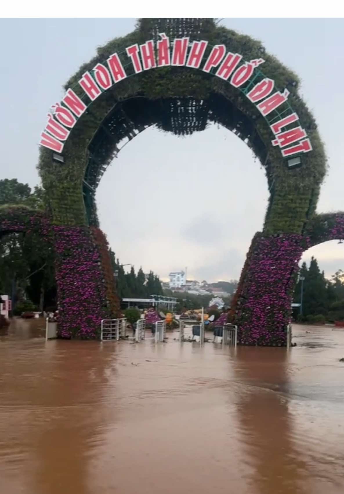 Đà lạt thơ mộng Thơ thì chưa thấy mà thấy vỡ mộng rồi . ? Sông giữa lòng Đà Lạt #comgaxoimolanha #comga #mưadalat2025 #mưa #xuhuongtiktok 