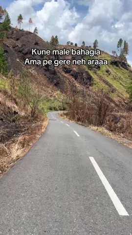 #bahasagayo #fyp #viral #lagugayo 
