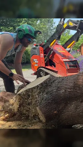 Square  ground chains for MILLING #treework #chainsaw #treeworker #guiltyoftreeson