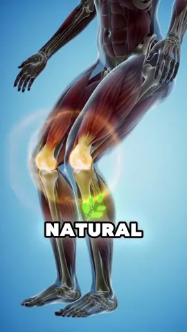 The Best Natural Collagen to Eliminate Knee Pain, Rejuvenate Skin, and Strengthen Nails, Hair, and Bones #health #healthy #healthtips #natural #collagen 