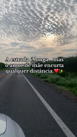 Você concorda comigo sim ou não?