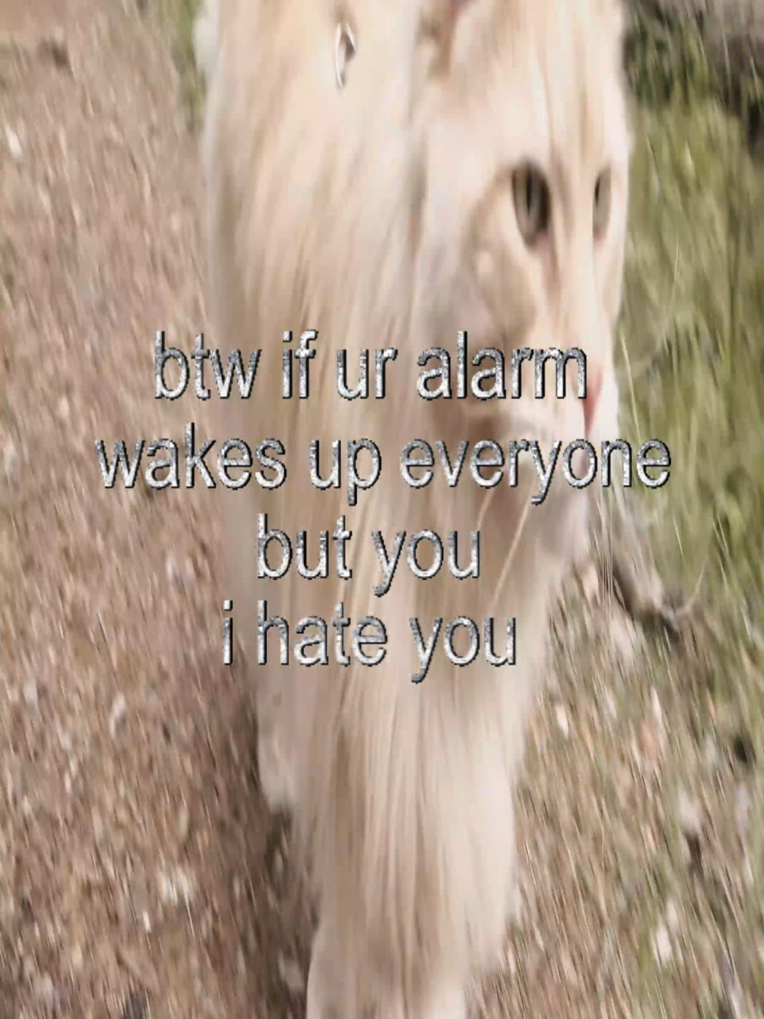 i genuinely mean this #real #thoughts #fyp #cats #catcore #swag #relatable