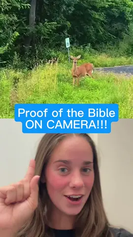 JESUS IS KING!!!🔥 #christian #bible #deer #gospel #jesus 