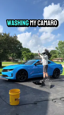 Big Blue Gets A Bath 