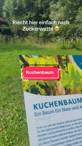 Hab‘ danach noch weiter dran gerochen 😂