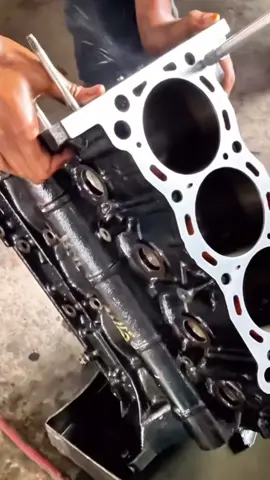 #enginecleaning #enginedegreaser #blower #mecanicaautomotriz #limpiezademotores 