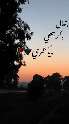 #تعال_ارجعلي_يا_عمري #سوريا_تركيا_العراق_السعودية_الكويت_عمان #تصويري📷 #🖤🥀 
