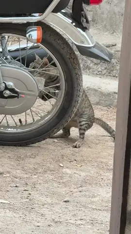#😂😂😂 #funnyvideos #🥺💔 