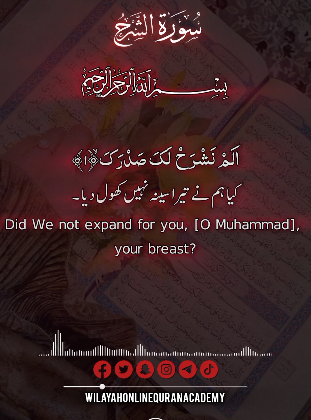 Beautiful Quran Recitation ❤️  #foryou #searchinsight #tilawat #quran #quran_alkarim 