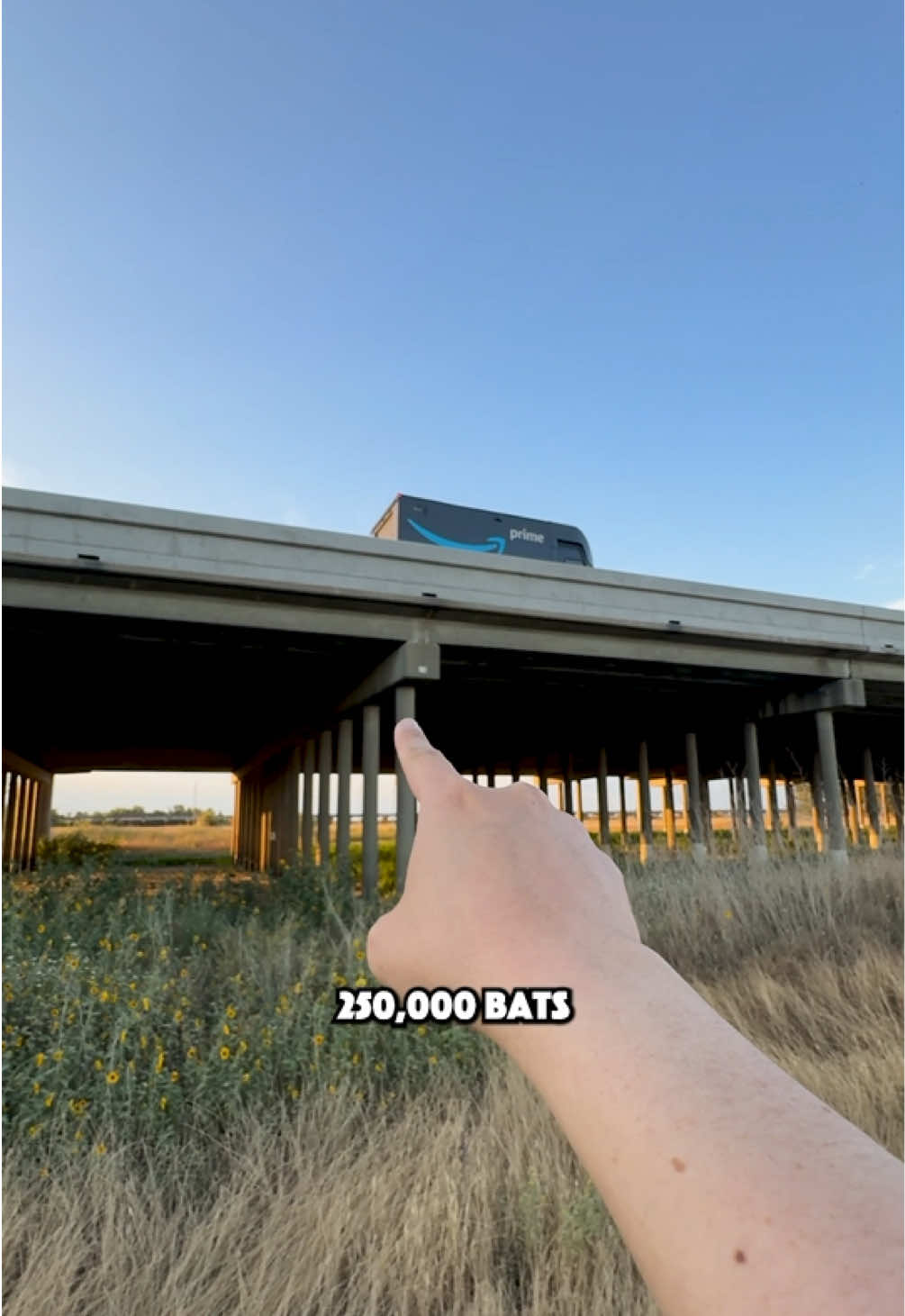 Is this the most underrated summer experience in Northern California? 🦇  Every night from late spring through summer, the Yolo Causeway becomes home to one of the most jaw-dropping wildlife spectacles in the region. Around 250,000 Mexican free-tailed bats take flight at sunset, streaming out from under the bridge in a massive, swirling cloud.  Most people drive over it without realizing what’s happening below but you can actually take a guided bat tour to learn about them and then watch the flight up close.  These bats aren’t just cool to look at. They play a huge role in protecting local crops by eating massive amounts of insects every night. That means fewer pesticides, healthier food, and a big win for our agricultural region. And surely you already know how important agriculture is around here! The tour is equal parts science lesson and incredible. You’ll leave with a new appreciation for these tiny animals and the role they play in keeping Northern California’s farms thriving. And the sight of hundreds of thousands of bats silhouetted against a summer sunset? Absolutely unforgettable.  Check out @yolobasinfoundation and their links to learn more about the event! Pro tip: Bring binoculars, a camera, and a light jacket depending on weather. The best views happen just as the air cools and the sky starts to turn gold.  It’s the kind of experience you’d expect to travel for, but it’s right here in our own backyard.