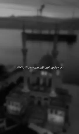🖤/:#tiktok #actives? #foryou #fypシ #hashtag 