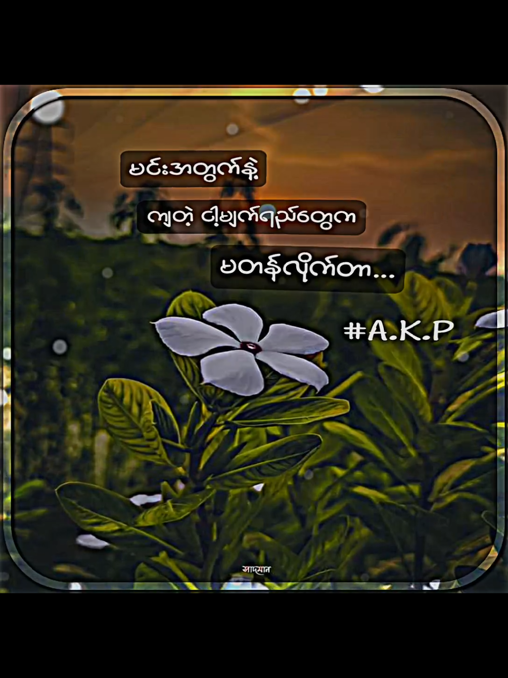 သစ္စာမရှိတဲ့မိန်းမ အတွက်နဲ့ကွာ.. . . . .#myanmarmusic #စာတို💯 #myanmar #myanmartiktok🇲🇲🇲🇲 #viwe #fyppppppppppppppppppppppp #1millionaudition #foryoupage #fyp #စာတို💯 