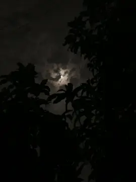 সবচেয়ে সুন্দর ভালোবাস হচ্ছে কল্পনায় ভালোবাস।কারণ তুমি কল্পনায় যাকে ভালোবাসো তার থেকে কখনো কেউ তোমাকে আলাদা করতে পারবে না…!🖤😊#foryou #foryoupage #vairalvideo #avibaroi3 #unfrezzmyaccount #avibaroi2007 #tiktok #vaira @TikTok Bangladesh @TikTok 