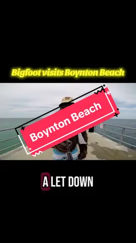 Well…I sorta expected it to be a little boring out here but yall keep livin🙌🏽#boyntonbeach #boynton #boyntonbeachfl #bigfootvlog #fyp 