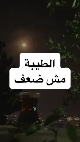 الطيبة مش ضعف #AshrafEidVO  #fyp #foryou #خواطر  #اكسبلور         