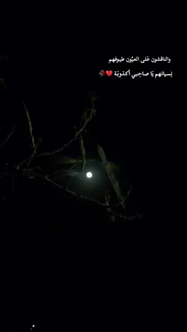 #اسماعيل_الفروجي_شمعنى_انتي #جيل_السبعينات #جيل_الثمانينات #اسماعيل_الفروجي #عقاقير_موسيقية 