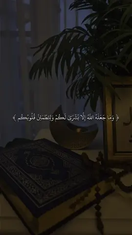 القارى ماهر المعيقلي 🖤✨#quran #fyp #قران #sb3zaid0 