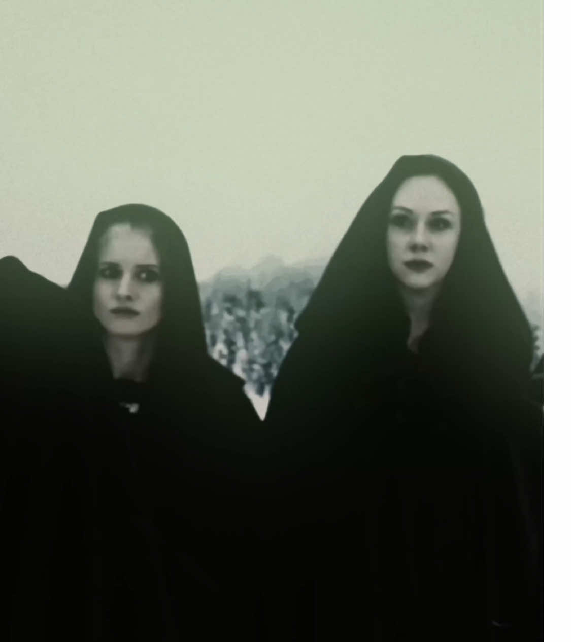 athena and i look so good in this edit˚˖𓍢 🦢✧˚. . . . #fyp #volturi #sulpiciavolturi #athenodoravolturi #volturiedit #twilight #twilighttiktok #viral #sulpiciavolturiedit #athenodoravolturiedit #volturiix #foryou 