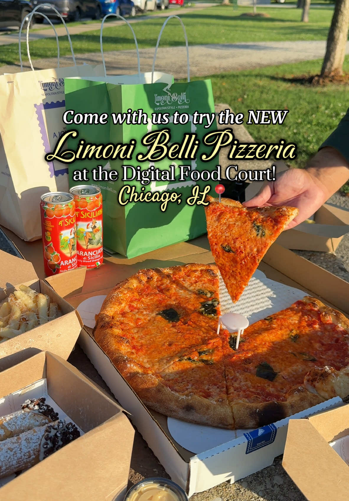 Order Artisan thin crust pizza from a digital food court! 🍕🍅🍃 New model, same high-quality ingredients, long fermentation dough, and convenient pick up!  Available for delivery on all platforms and for pick-up!!🚗 #explorewindycity #chicagotiktok #chicago #chicagofood #chicagofoodie #chicagofoodspots #chicagorestaurants #chicagorestaurant #chicagopizza #chicagopizzaspots #chicagoitalianfood #chicagoitalianrestaurants #pizzachicago #digitalfoodcourt 