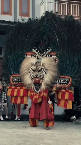 Reog (aksara Jawa: ꦫꦺꦪꦺꦴꦒ꧀, Réyog) merupakan tarian tradisional dari Ponorogo, Jawa Timur dalam arena terbuka yang berfungsi sebagai hiburan rakyat, mengandung unsur magis, penari utama adalah orang berkepala singa dengan hiasan bulu merak, dengan berat topeng mencapai 50–60 kg. Ditambah beberapa penari bertopeng dan berkuda lumping dan Reog asli dari Indonesia. Sejarah dan Legenda: Kesenian Reog Ponorogo berakar pada cerita rakyat tentang Raja Kelana Sewandana dari Kerajaan Bantarangin yang ingin melamar Putri Dewi Ragil Kuning dari Kerajaan Kediri. Perjalanan Raja Kelana diiringi oleh pasukannya, termasuk warok yang sakti, dan dihadang oleh pasukan Singa Barong dari Kediri, yang terdiri dari singa dan merak. Pertempuran antara kedua belah pihak menjadi dasar cerita Reog, yang kemudian diadaptasi menjadi sebuah pertunjukan yang meriah.  #budayajawa #tanahjawa #sukujawa #jawapremium #adatjawa #ponorogo #ponorogoreog #jawapride 