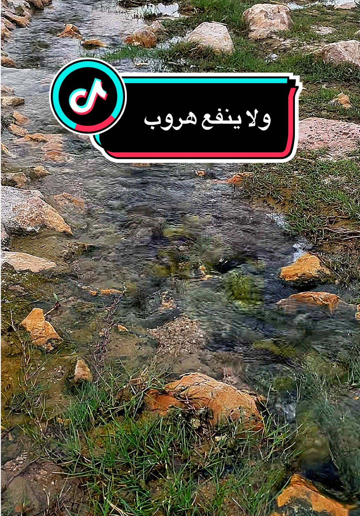 ميحد حمد لا تمشيني على شاطي العذاب لا تحملني على ذنوبي ذنوب لا تخلّيني حبيس الاكتئاب والزمن يجتاحني من كل صوب #ميحد_حمد #ميحد #ميحد_حمد_الفنان_الاماراتي_الاول #ميحد_حمد_قديم #العين 