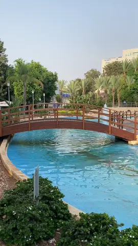Rishon LeZion 🇮🇱❤️