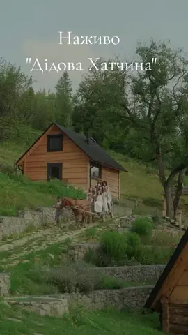 #кінь #гуцульщина #дідова_хатчина #гори #🇺🇦   відео:Дідова_Хатчина @Дідова хатчина 