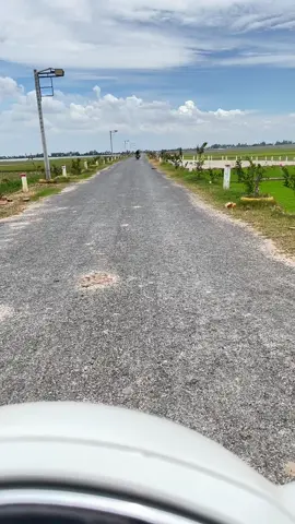 Con đường đi làm hằng ngày, dọc 2 bên đường toàn ruộng lúa. Nhiều lúc đi trời giống mưa và sấm chớp tẹt tẹt, trong lòng niệm Phật liên tục sợ cảnh này gê #gvmn🍀🍀✅❤️ #gvmn #