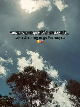 আমার ঝরে যাওয়া প্রতিটা চোখের পানি তোমার জীবনে অফুরন্ত সুখ নিয়ে আসুক😊❤️‍🩹#obak_valobasa_e #fypシ#captionvideo #tiktokofficialbangladesh #sadcaption 