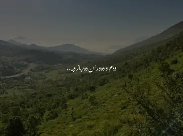♥️#hozanbrader#foryou #tiktok #barzani 