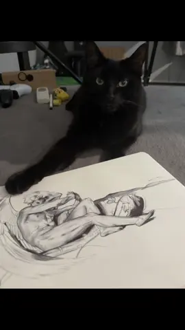 My baby being supportive #cat #drawing 