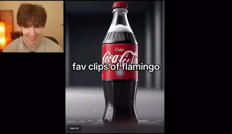 anyways #flamingo #albertsstuff #albert #flamingowastaken #flamingoalbert #rblx #roblox #fyp #fypp #fypシ゚viral #fypシ #vid #albertaretz #viral this video is so long💔 