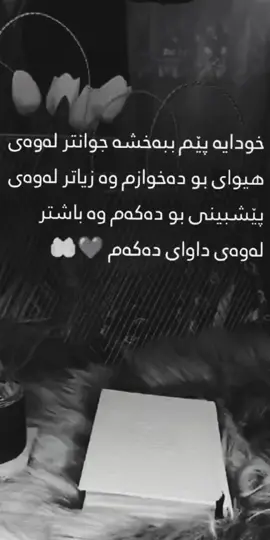 #🤲🤲🤲🤲 #🤲🤲🤲🤲 #🤲🤲🤲🤲 