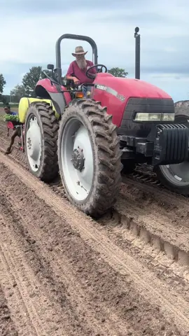 Planting Cole crops and picking beans today #farmtok #veggietok #visserfarms #visserfarmscountrymarket #mechanicaltransplanter 