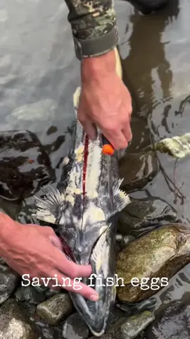 #fishing #Outdoors 
