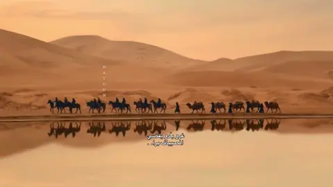 بدو الصين 🐪#fyppppppppppppppppppppppp #cdrama #kadram #اكسبلورexplore #سيدراما 